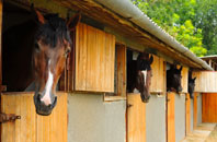 free Buckland Brewer stable construction quotes